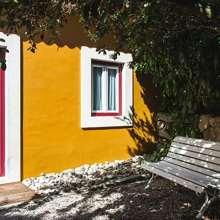 D'olívia Lovely Homes Alojamento de Turismo Rural