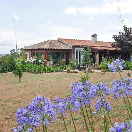D'olívia Lovely Homes *