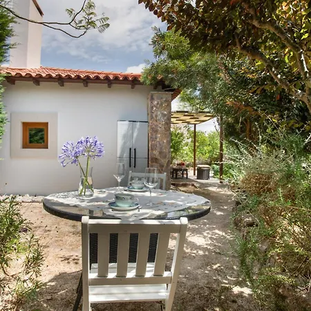 D'olívia Lovely Homes Alojamento de Turismo Rural Cela (Leira)